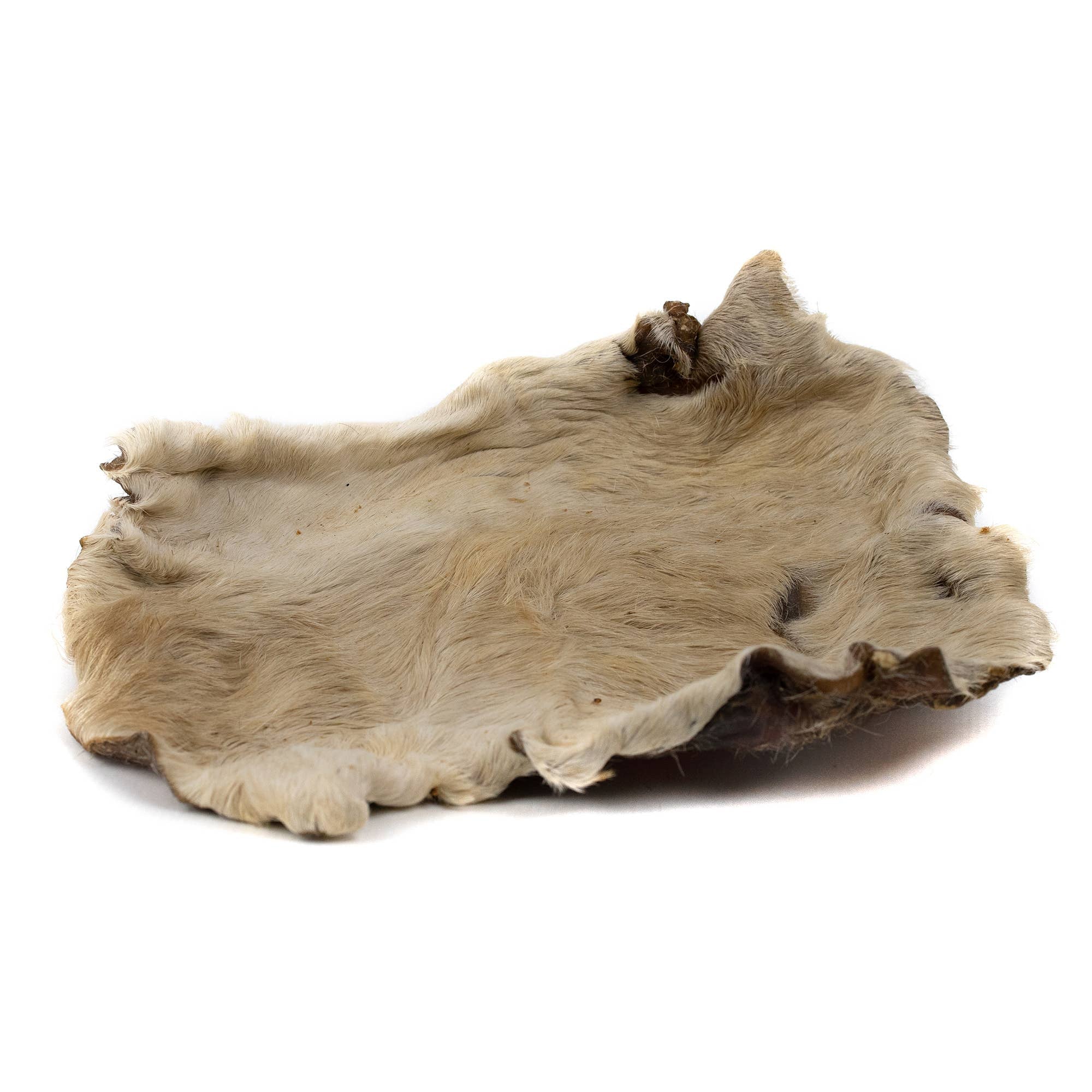 Plaque peau de bœuf avec poils