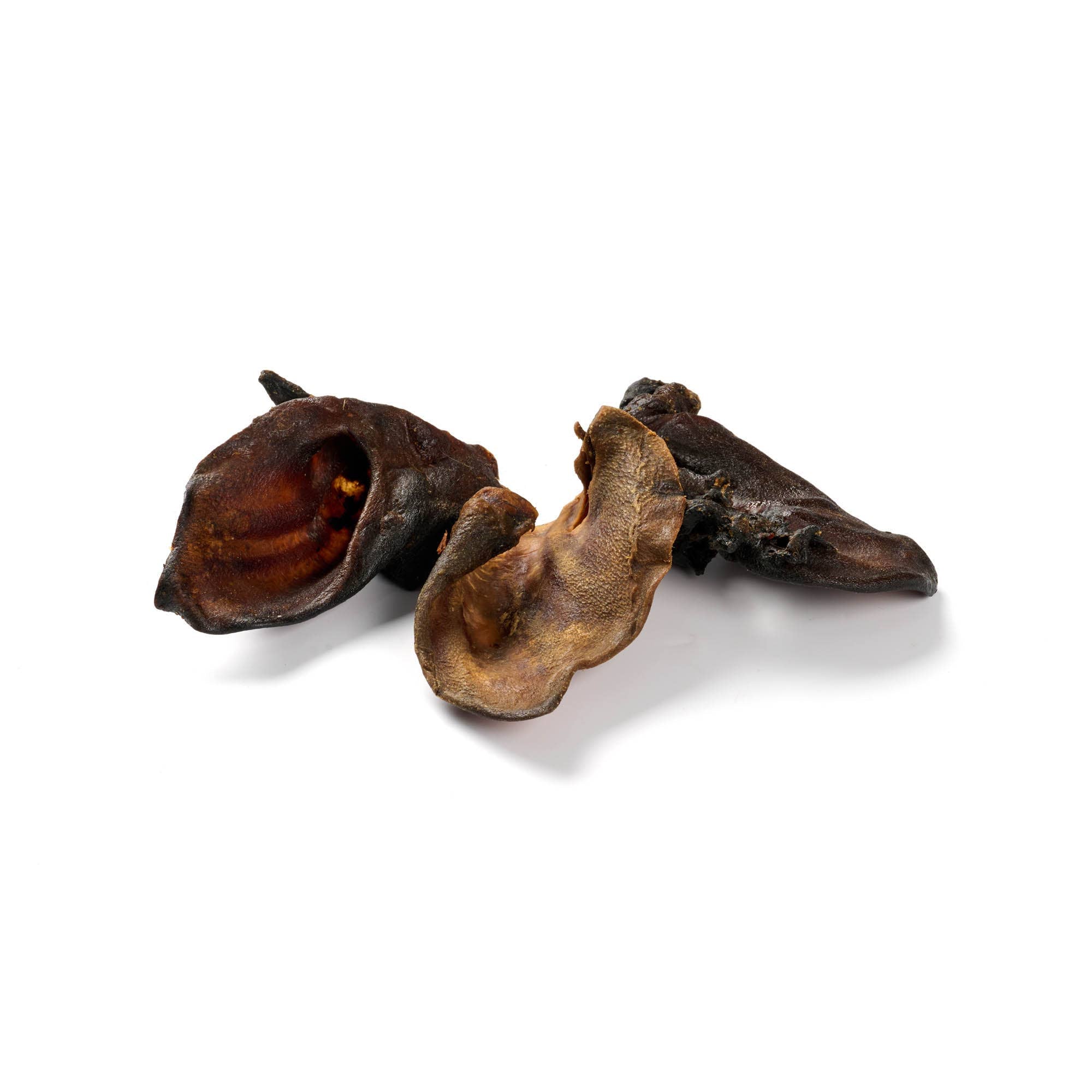 Oreille de sanglier