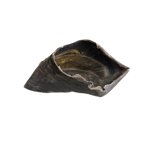 Sabot De Boeuf XL