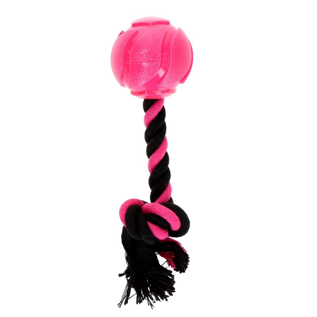 Dog Comets AstroTug Rose