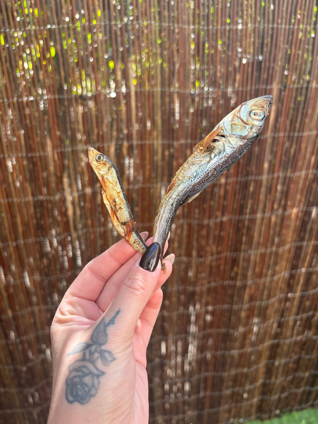 Sprats
