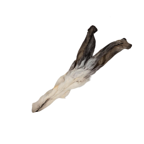 Oreille De Lapin Avec Poils