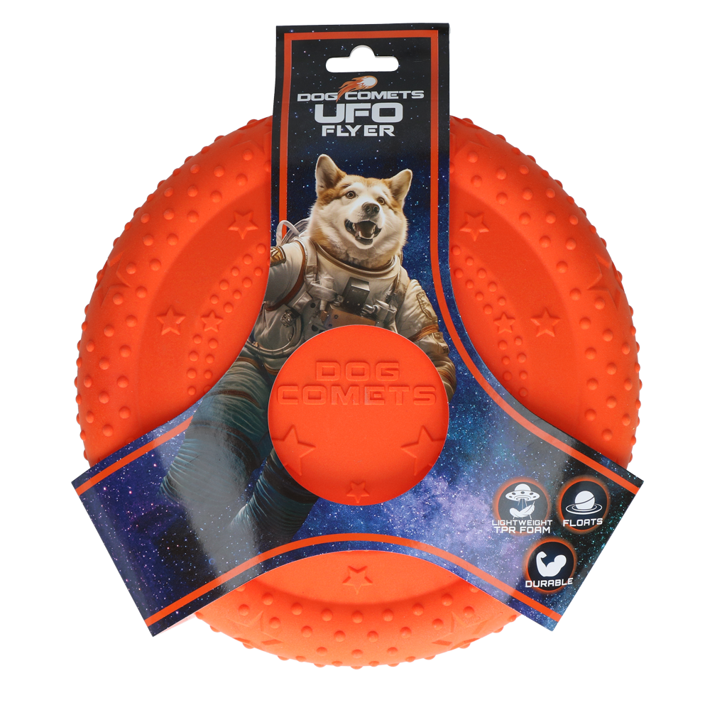 Frisbee