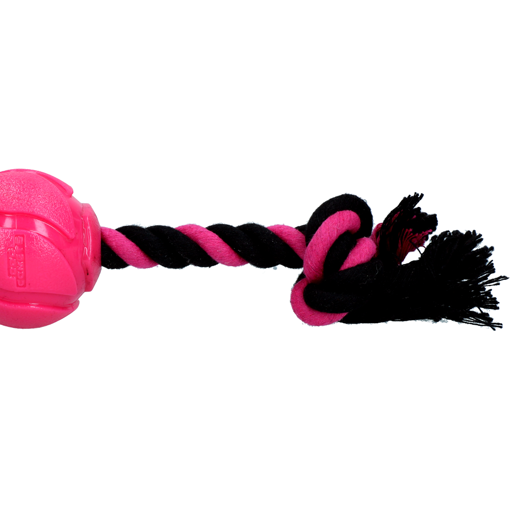 Dog Comets AstroTug Rose