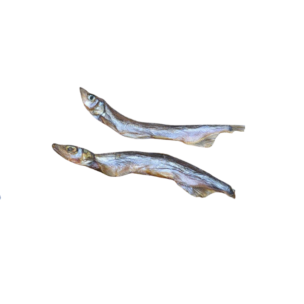 Harengs Sauvages