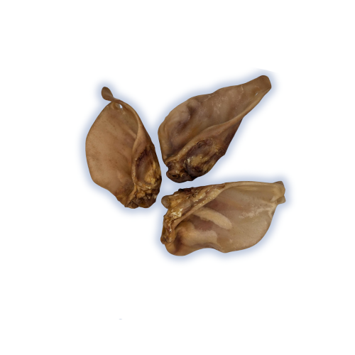 Oreille De Porc XL